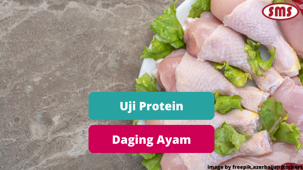 Uji  Kandungan Protein Daging Ayam Komersial